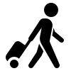 Tourist Visa Icon